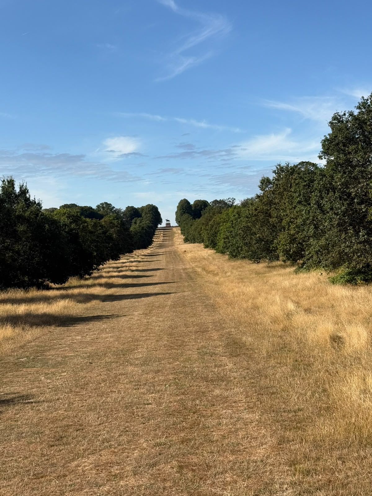 The grass ride leading towards the Copper Horse in Windsor Great Park