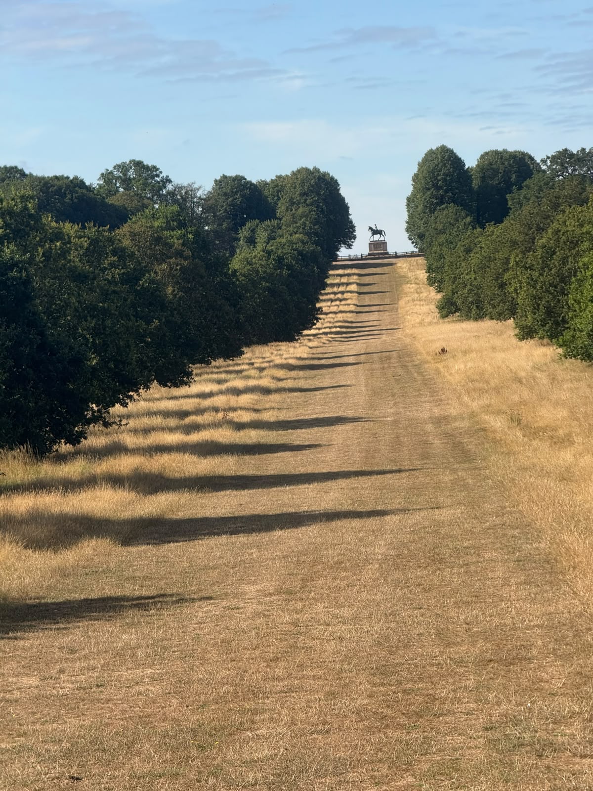 The Copper Horse at the end of the grass ride
