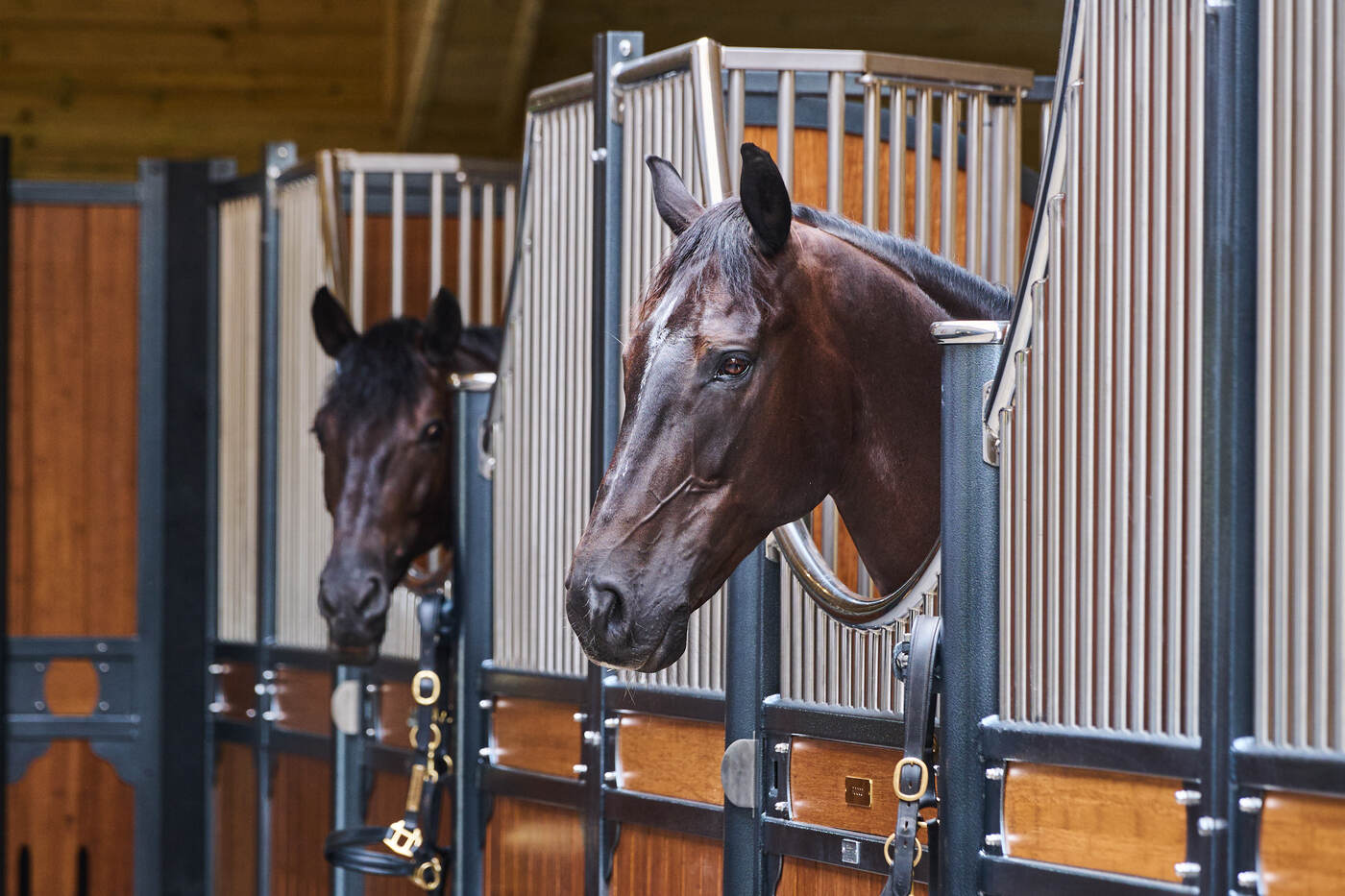 Two residents at their doors