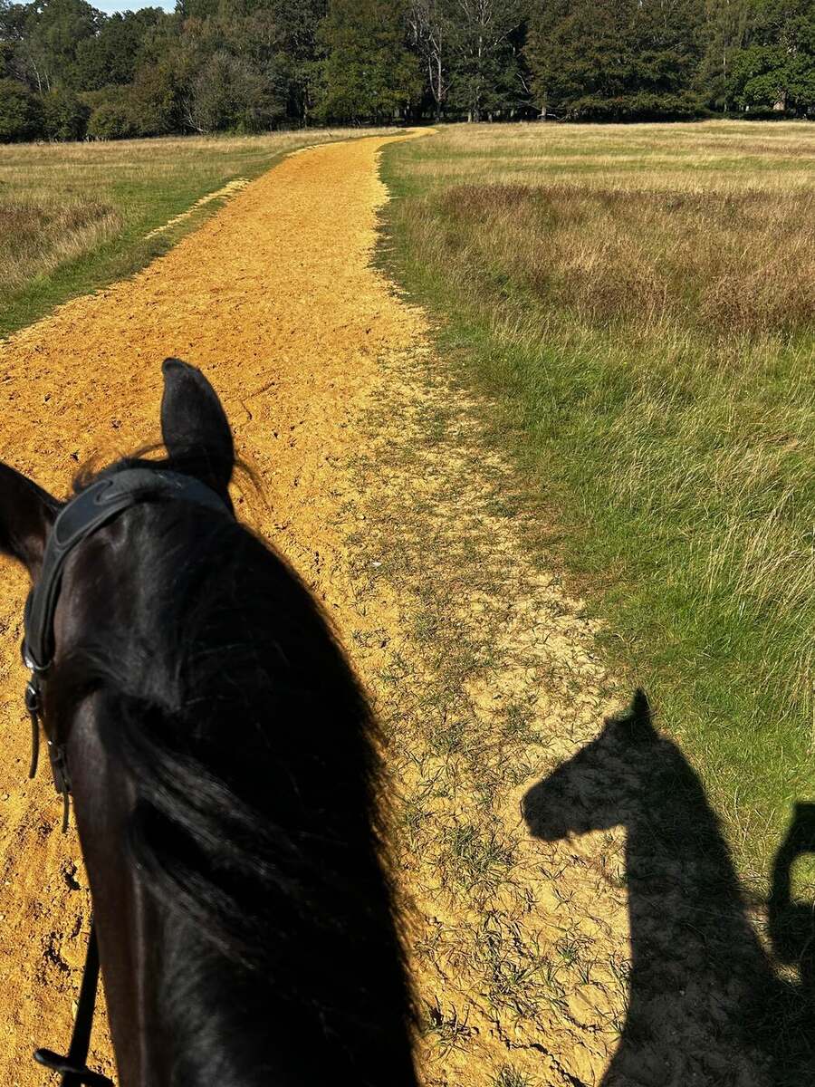 Morning hack on the golden ride