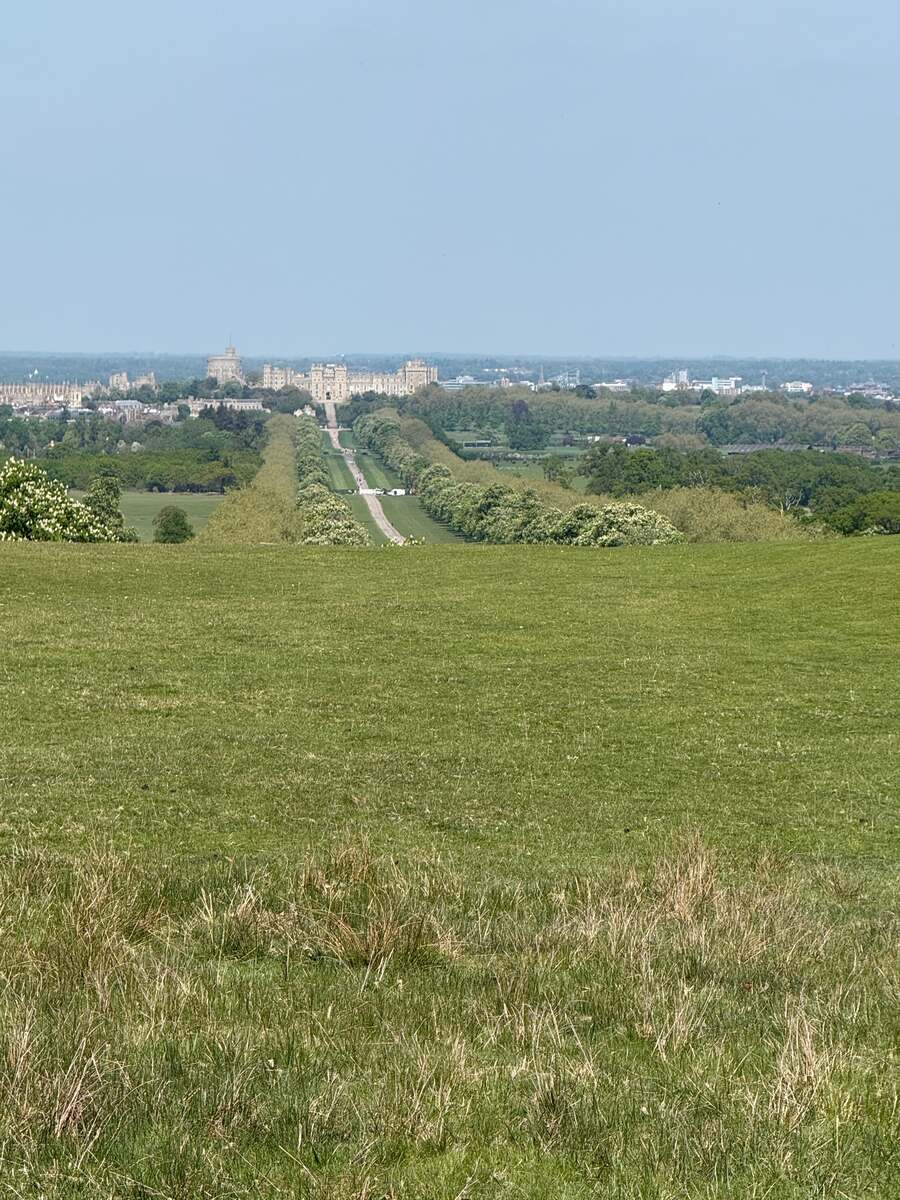View to Windsor Castle from the park