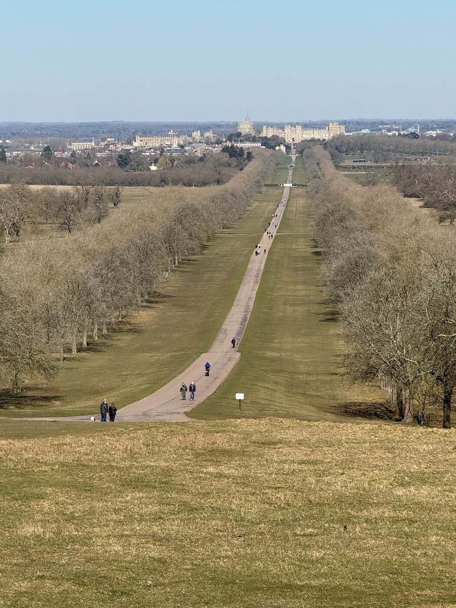 The Long Walk, Windsor Great Park
